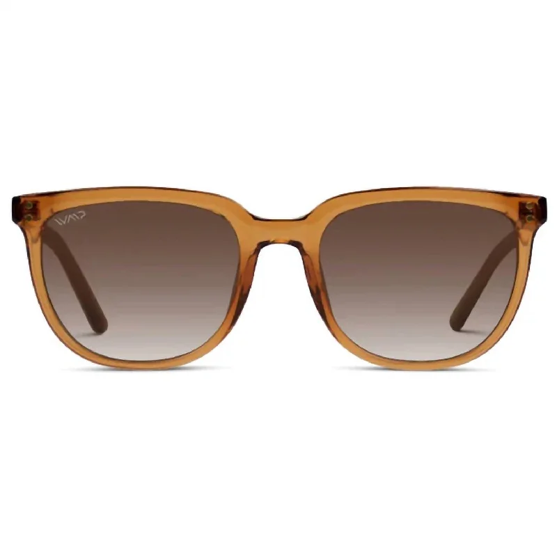 Men's Abner Sunglasses In Crystal Brown