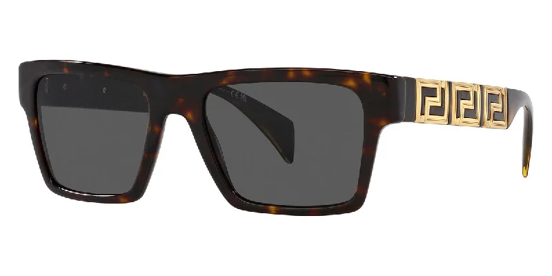 Versace Men's 54 mm Sunglasses